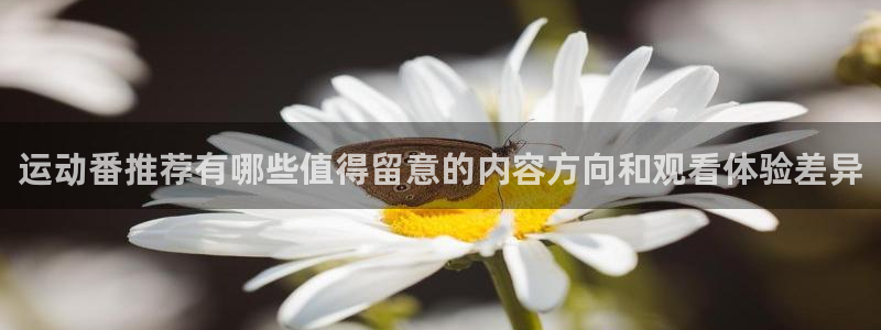 YY漫画最新排行榜：运动番推荐有哪些值得留意的内容方向和观看体验差异配图