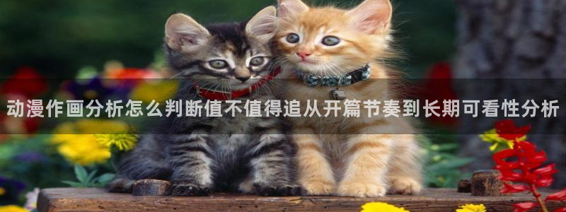 YY奇幻漫画：动漫作画分析怎么判断值不值得追从开篇节奏到长期可看性分析配图
