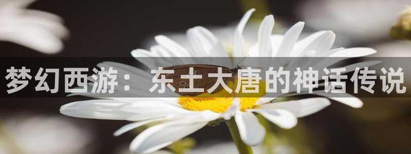 YY漫画手机网站：梦幻西游：东土大唐的神话传说配图