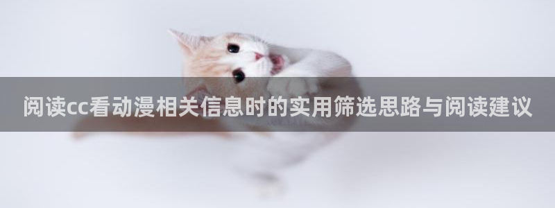 YY漫画更新最快:阅读cc看动漫相关信息时的实用筛选思路与阅读建议配图