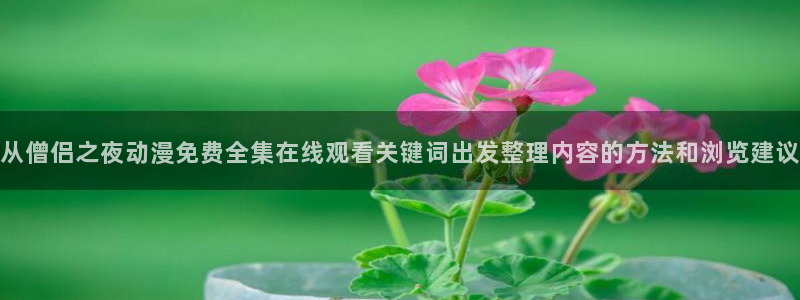 YY漫画完结排行榜：从僧侣之夜动漫免费全集在线观看关键词出发整理内容的方法和浏览建议配图