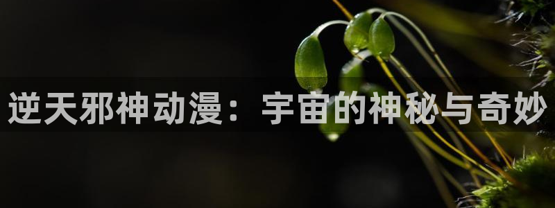 YY漫画电脑在线阅读：逆天邪神动漫：宇宙的神秘与奇妙配图