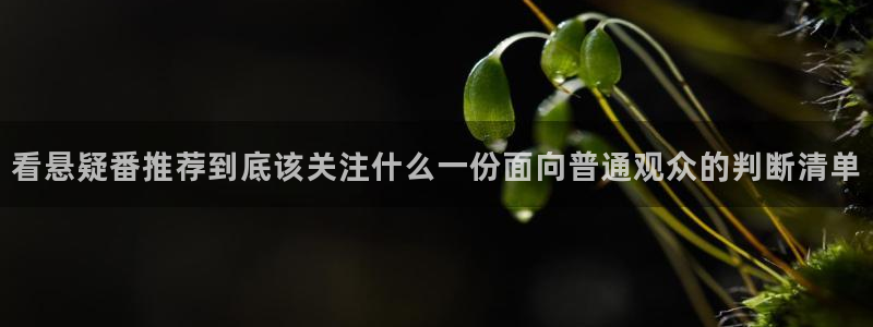 YY漫画阅读:看悬疑番推荐到底该关注什么一份面向普通观众的判断清单配图